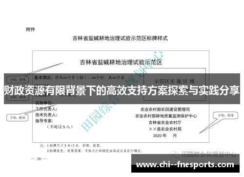 财政资源有限背景下的高效支持方案探索与实践分享 财政资源有限背景下的高效支持方案探索与实践分享