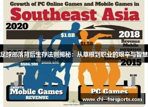 足球部落背后生存法则揭秘:从草根到职业的艰辛与智慧 足球部落背后生存法则揭秘:从草根到职业的艰辛与智慧