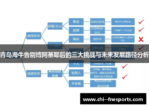 青岛海牛告别博阿基耶后的三大挑战与未来发展路径分析