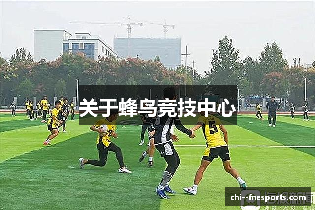 关于蜂鸟竞技中心